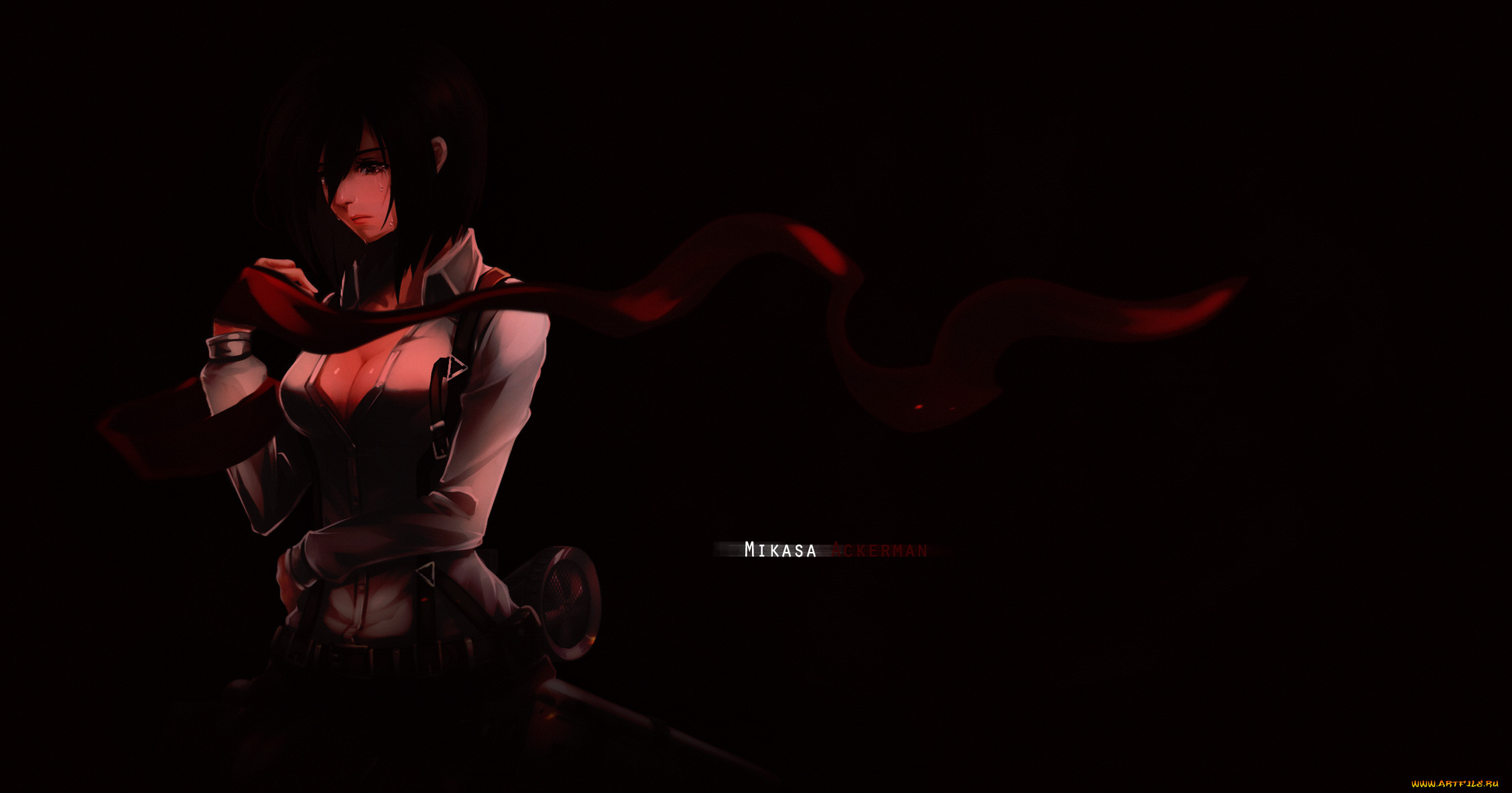, shingeki no kyojin, , 